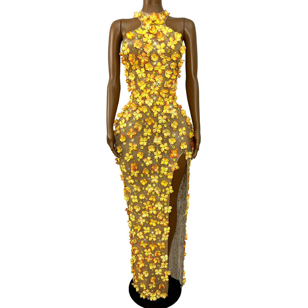 Women Fashion Photoshoot - Vestido de Festa de Noite com
